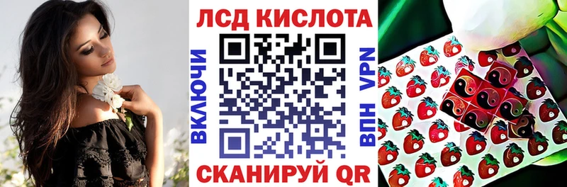 купить наркоту  omg ТОР  Марки 25I-NBOMe 1,5мг  Новозыбков 