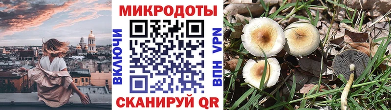 Галлюциногенные грибы Cubensis  где можно купить наркотик  Новозыбков 