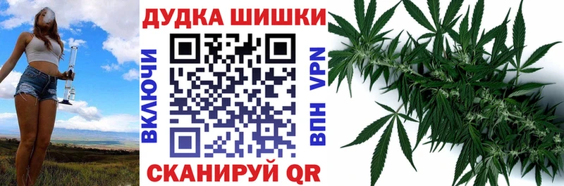 ОМГ ОМГ ССЫЛКА Новозыбков Марихуана индика